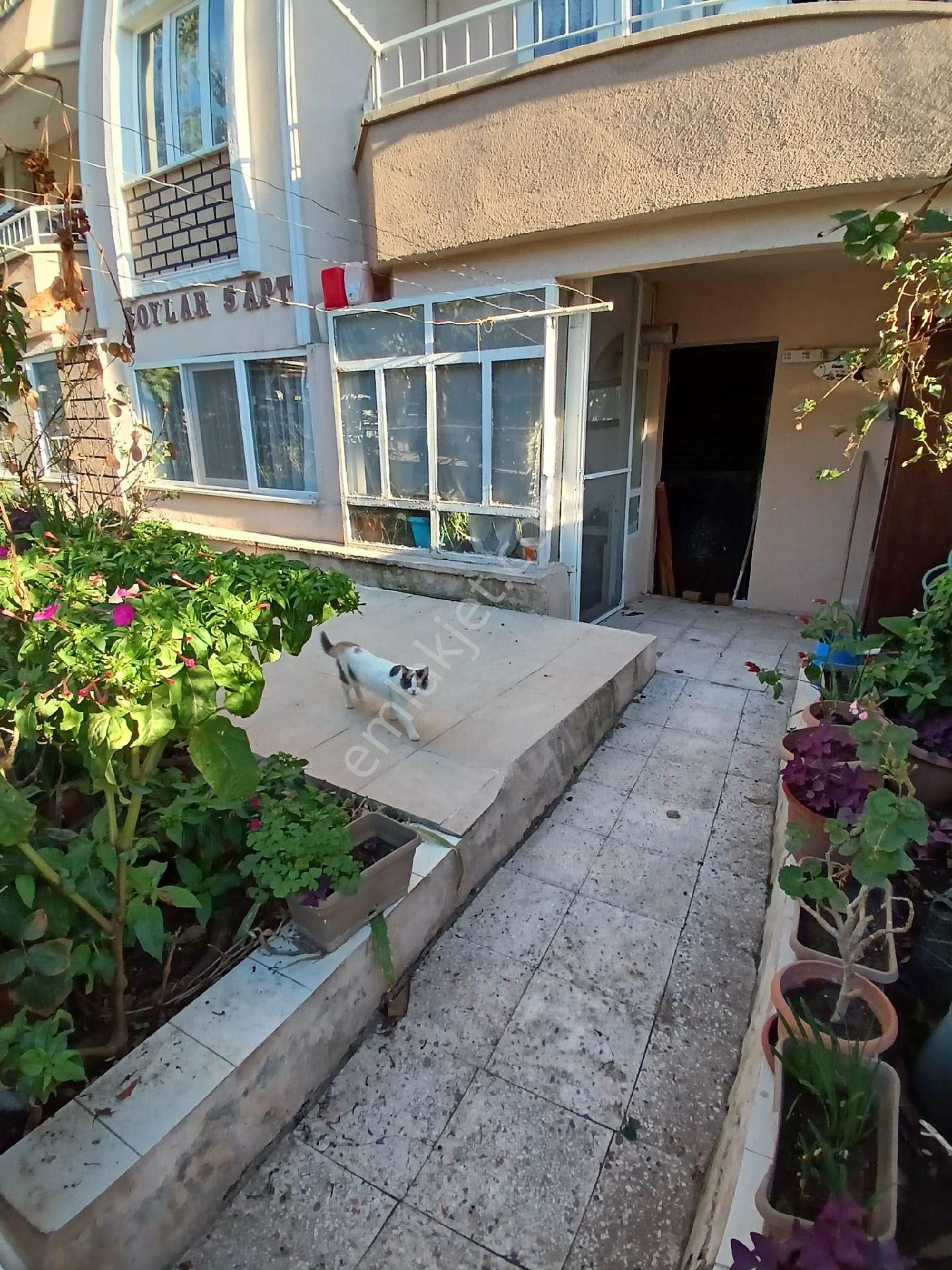 Ayvalık Eski Garaj Akasında Müstakil Tadında 2+1 Daire - Görsel 3