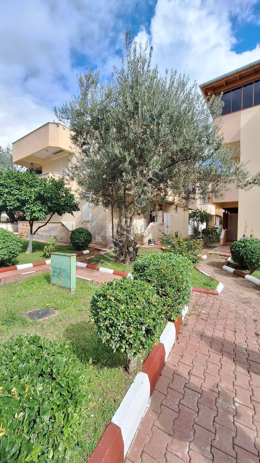 Altınoluk Narlı`da Deniz'e Yakın Satılık 4+1 Tripleks Villa - Görsel 5