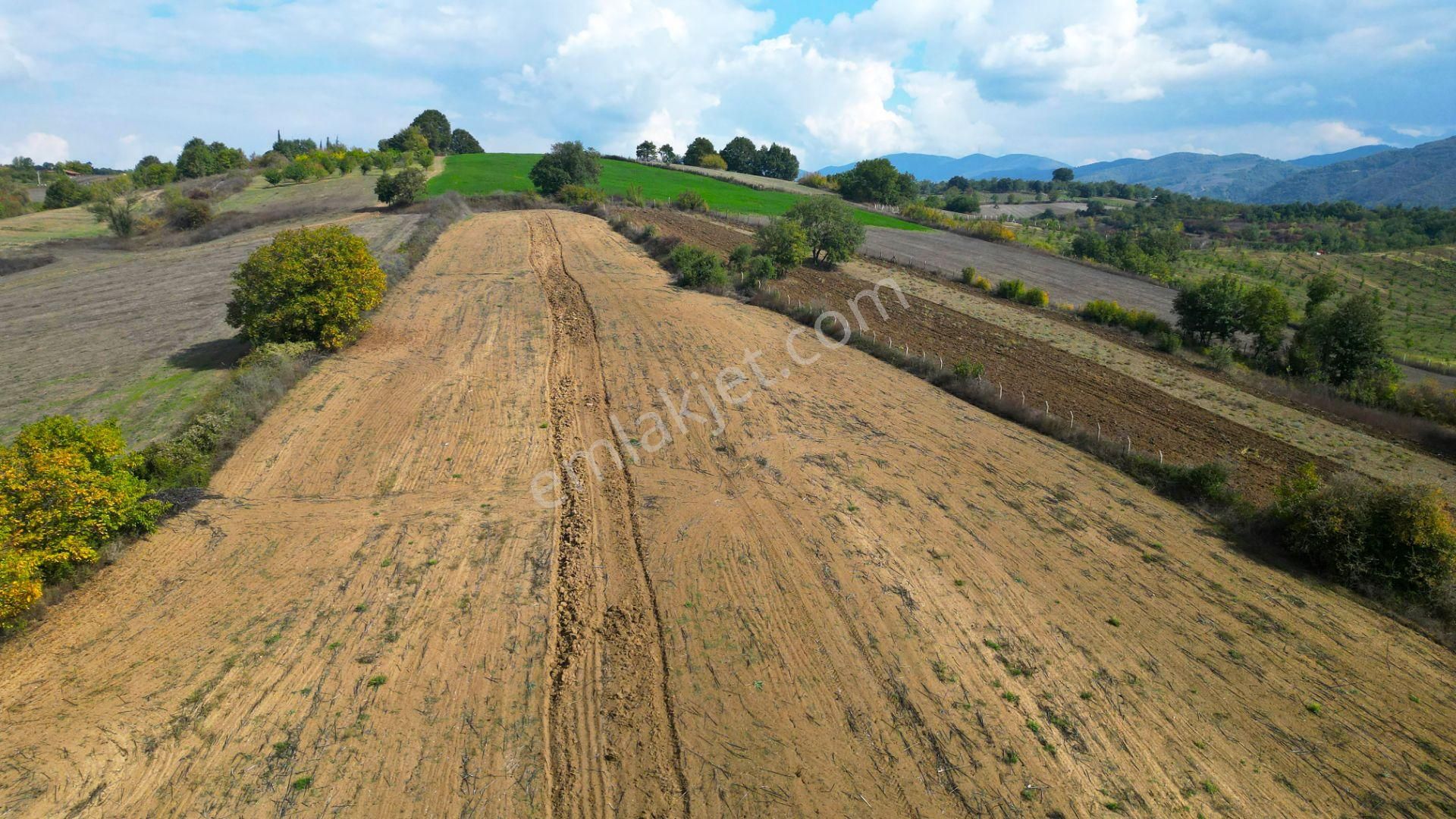 Kocaeli Karamürsel Yalakdere Satılık 9.560 M² Yatırım Fırsatı Tarla - Görsel 12