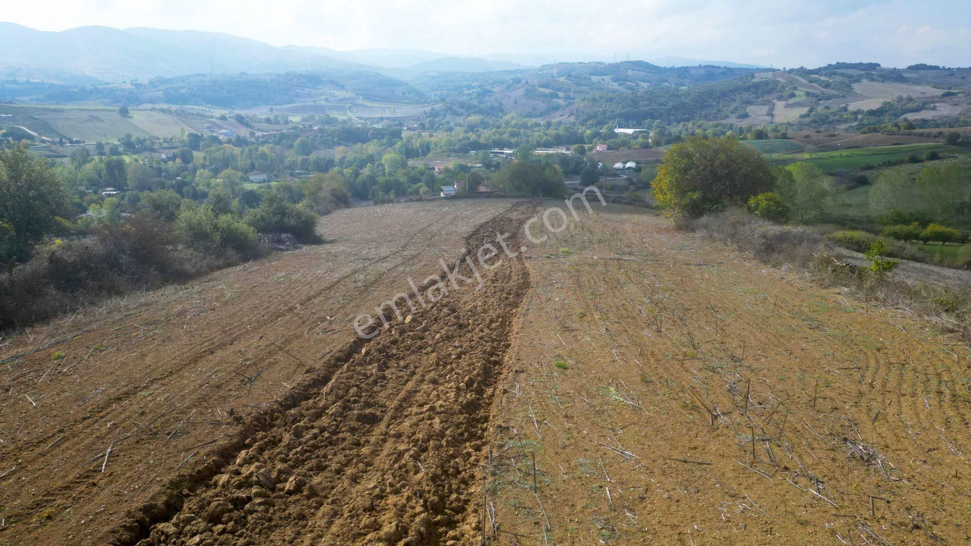 Kocaeli Karamürsel Yalakdere Satılık 9.560 M² Yatırım Fırsatı Tarla - Görsel 5