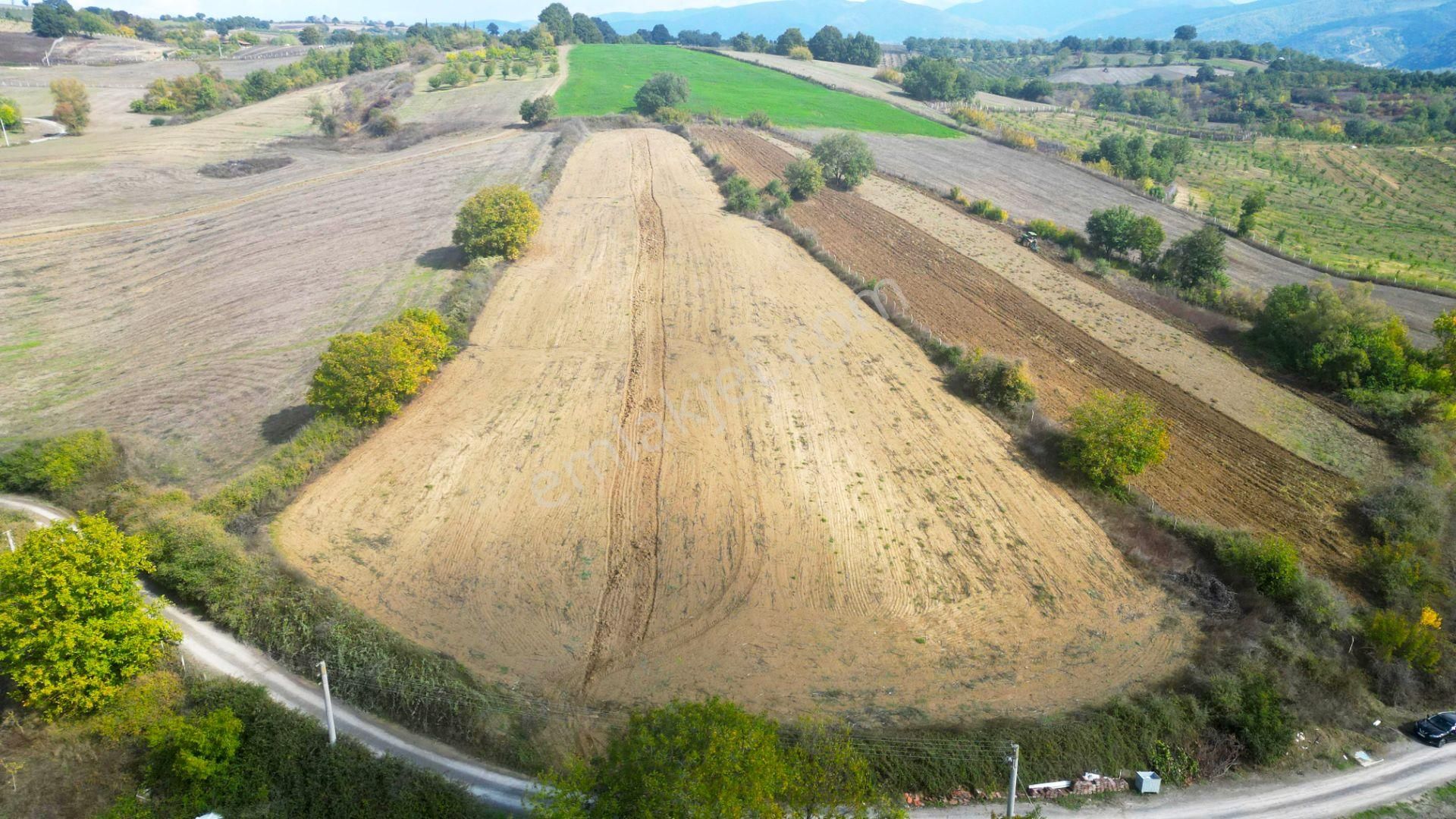 Kocaeli Karamürsel Yalakdere Satılık 9.560 M² Yatırım Fırsatı Tarla - Görsel 6