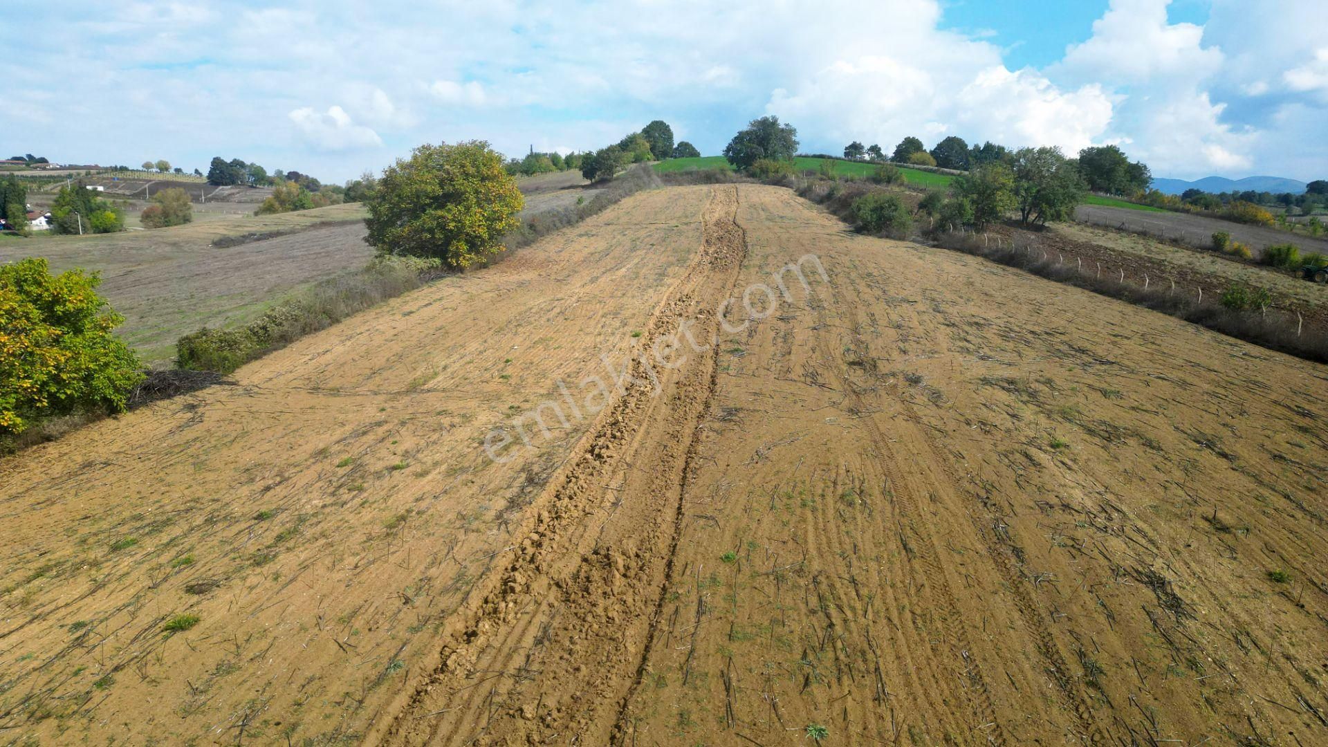 Kocaeli Karamürsel Yalakdere Satılık 9.560 M² Yatırım Fırsatı Tarla - Görsel 7