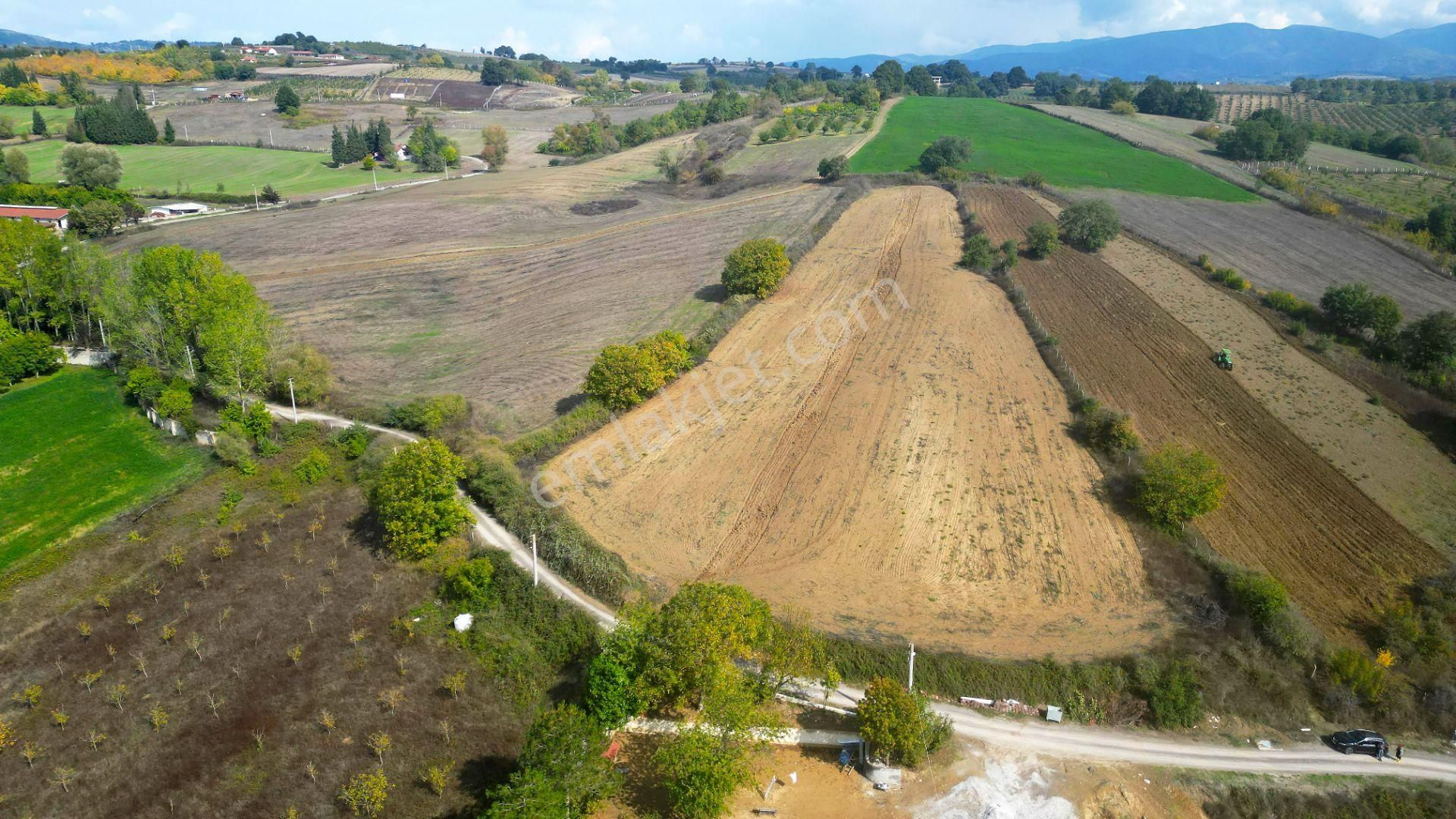 Kocaeli Karamürsel Yalakdere Satılık 9.560 M² Yatırım Fırsatı Tarla - Görsel 4