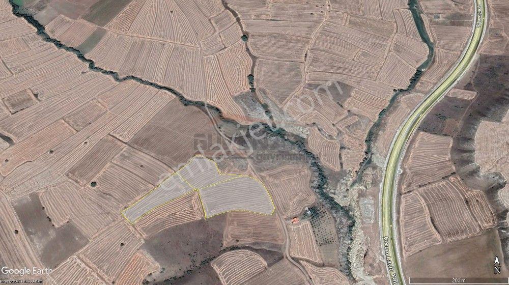 Güvenay - Çorum Osmancık Yolu Üzeri 29,477 M² Satılık Tarla - Görsel 3