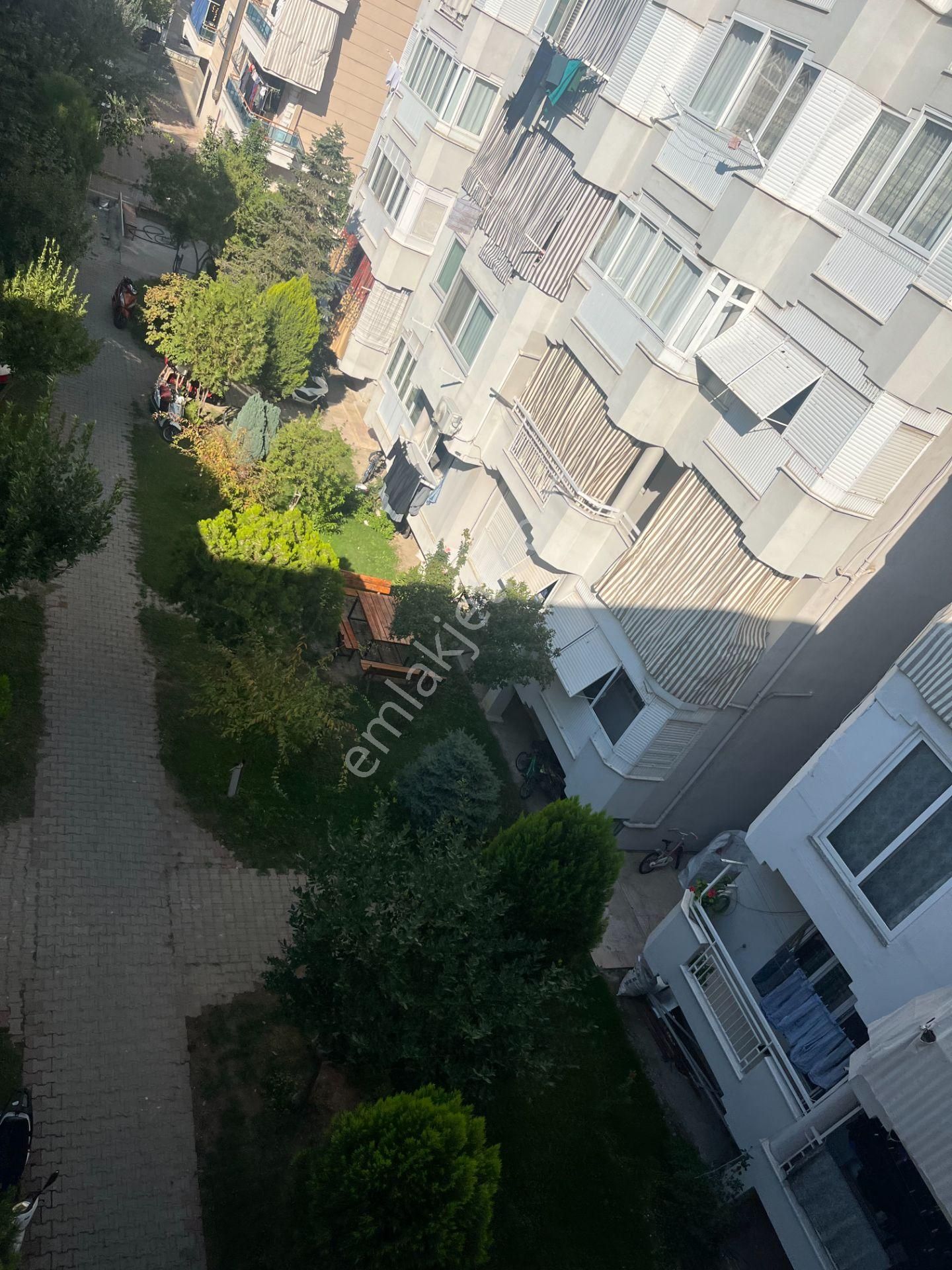 Salihlide Satılık Daire 3591 - Görsel 11