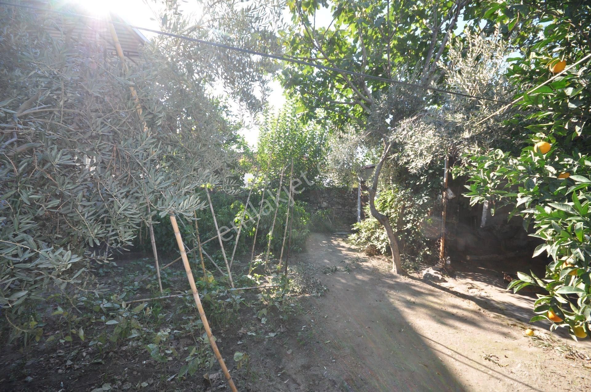 Söke Yuvaca 'da Satılık 2 Adet Müstakil Ev Ve Bahçesi - Görsel 15