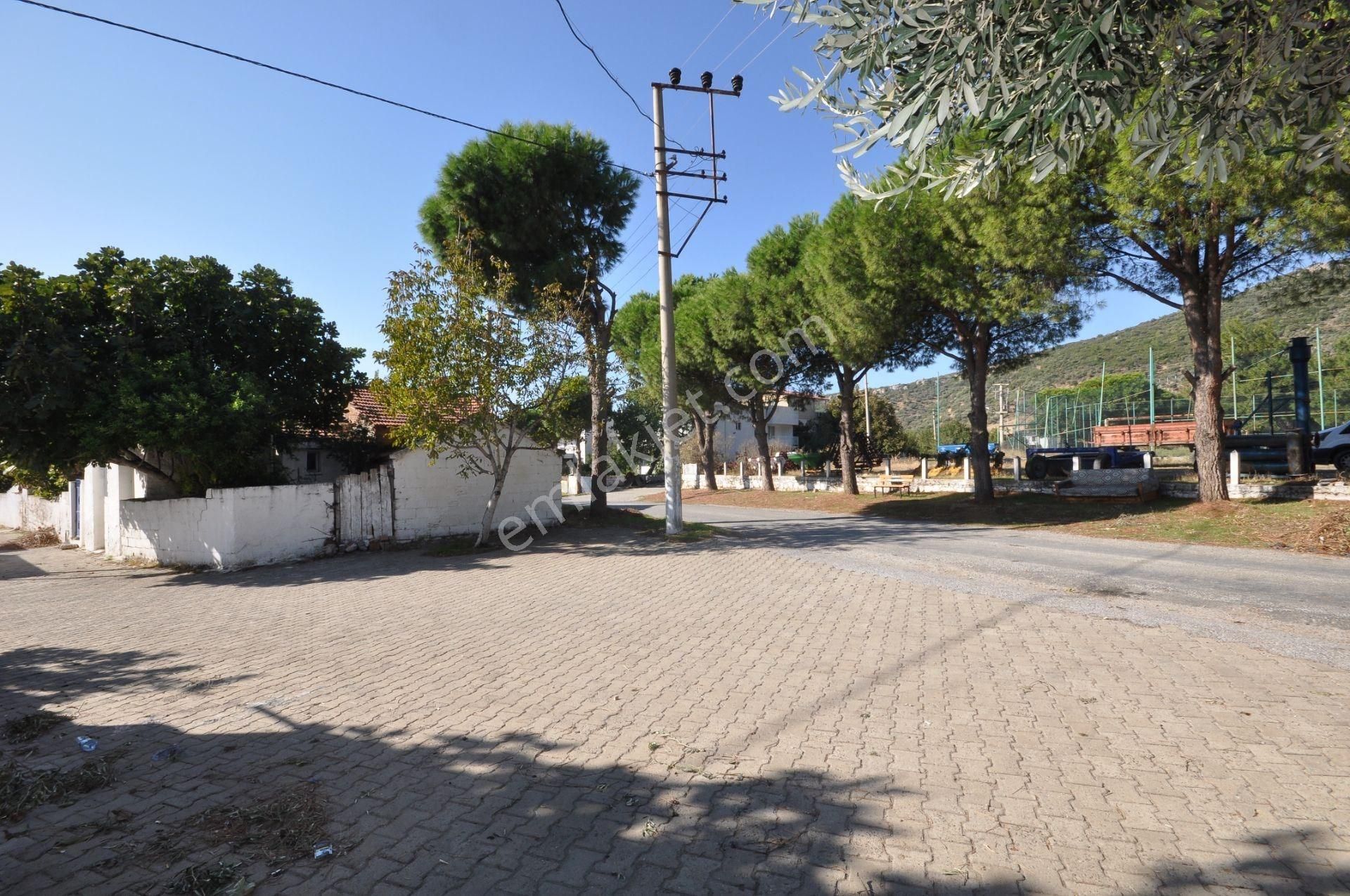 Söke Yuvaca 'da Satılık 2 Adet Müstakil Ev Ve Bahçesi - Görsel 26