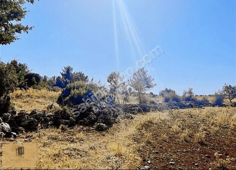 Muğla'ya 5 Dakika Yatırımlık 4.5 Dönüm Arazi Fırsat Fiyata - Görsel 8