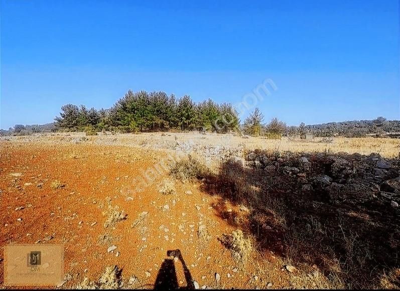 Muğla'ya 5 Dakika Yatırımlık 4.5 Dönüm Arazi Fırsat Fiyata - Görsel 3
