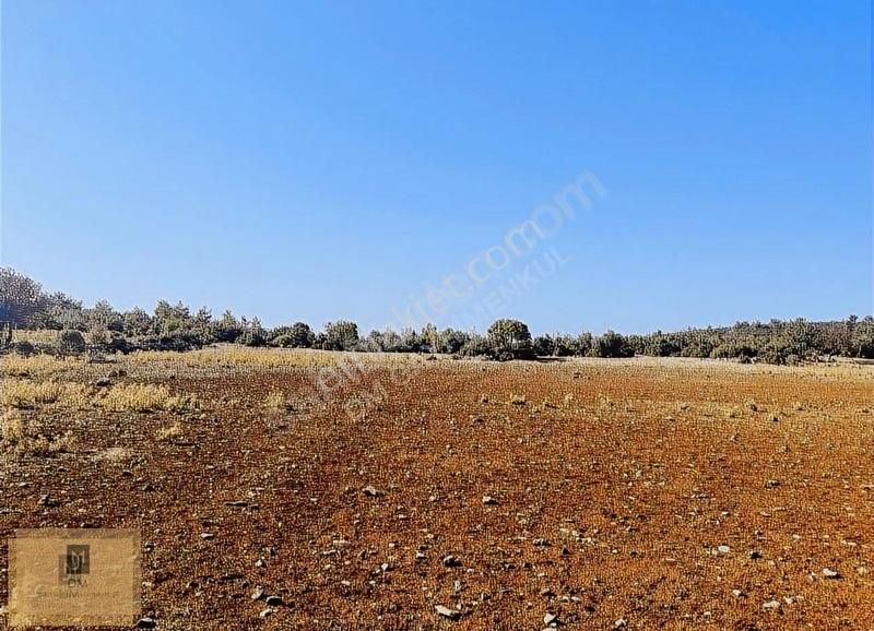 Muğla'ya 5 Dakika Yatırımlık 4.5 Dönüm Arazi Fırsat Fiyata - Görsel 15
