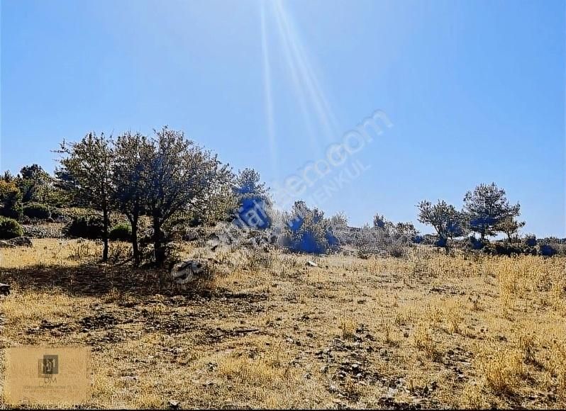 Muğla'ya 5 Dakika Yatırımlık 4.5 Dönüm Arazi Fırsat Fiyata - Görsel 12