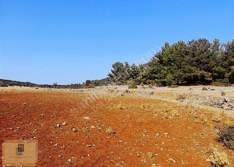 Muğla'ya 5 Dakika Yatırımlık 4.5 Dönüm Arazi Fırsat Fiyata - Görsel 2