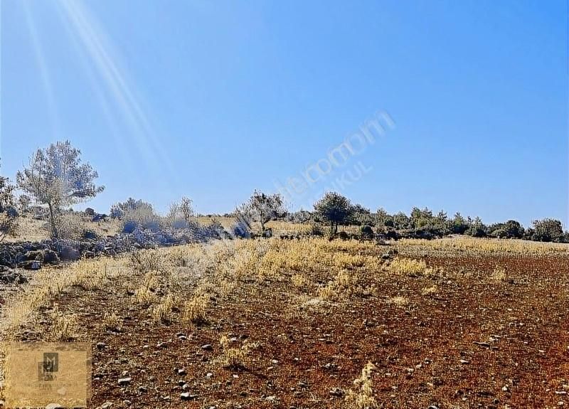 Muğla'ya 5 Dakika Yatırımlık 4.5 Dönüm Arazi Fırsat Fiyata - Görsel 10