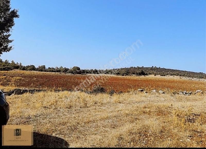 Muğla'ya 5 Dakika Yatırımlık 4.5 Dönüm Arazi Fırsat Fiyata - Görsel 14