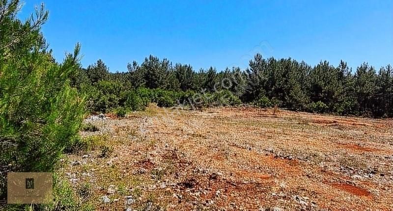 Takasa Açık !! Satılık Fırsat Çiftlik Arazisi 12 Dönüm - Görsel 8
