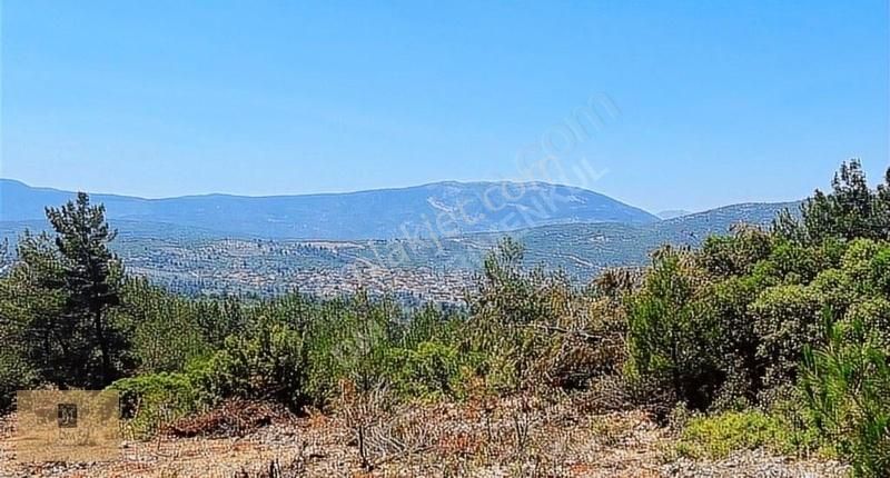Takasa Açık !! Satılık Fırsat Çiftlik Arazisi 12 Dönüm - Görsel 2