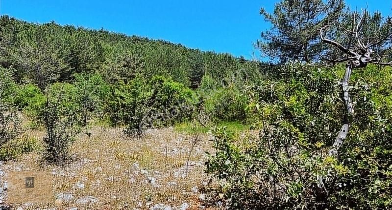 Takasa Açık !! Satılık Fırsat Çiftlik Arazisi 12 Dönüm - Görsel 11