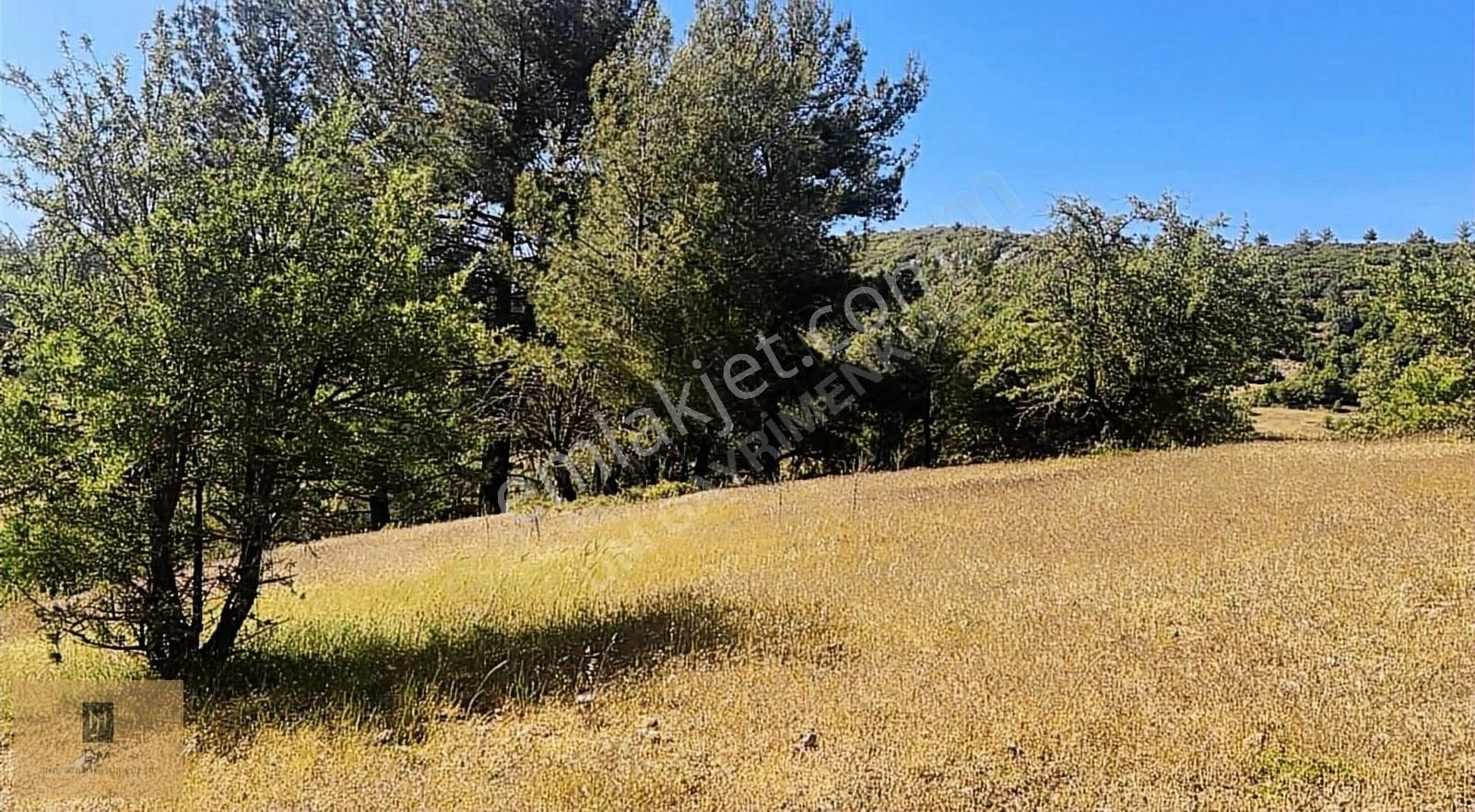 Yerkeşikte İmarlı 5700 M2 Arazi - Görsel 6