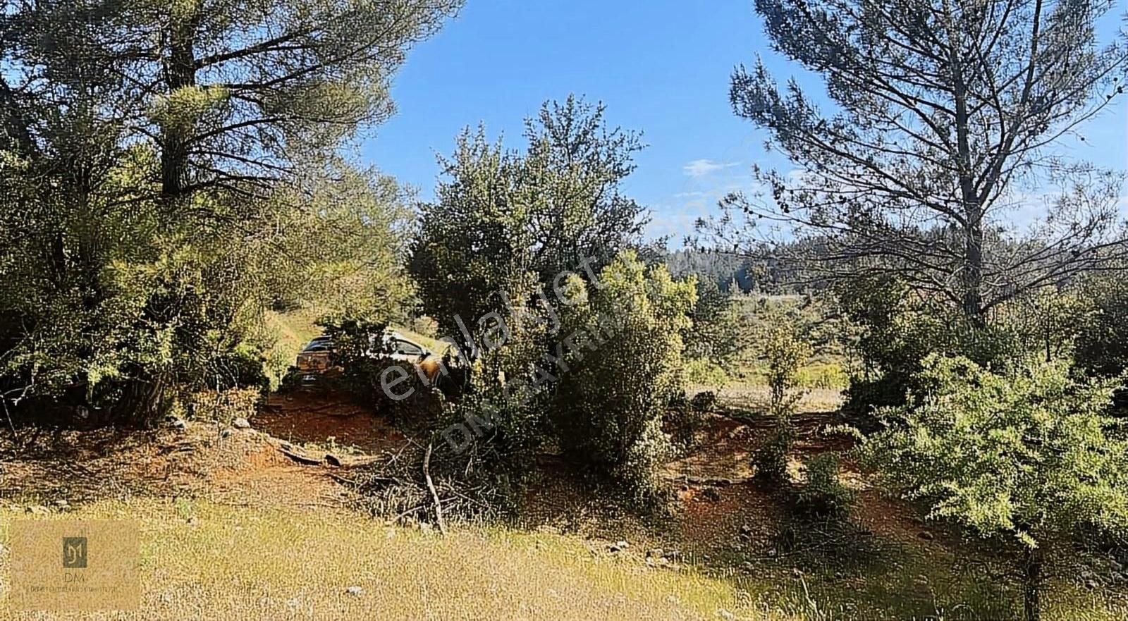 Yerkeşikte İmarlı 5700 M2 Arazi - Görsel 4