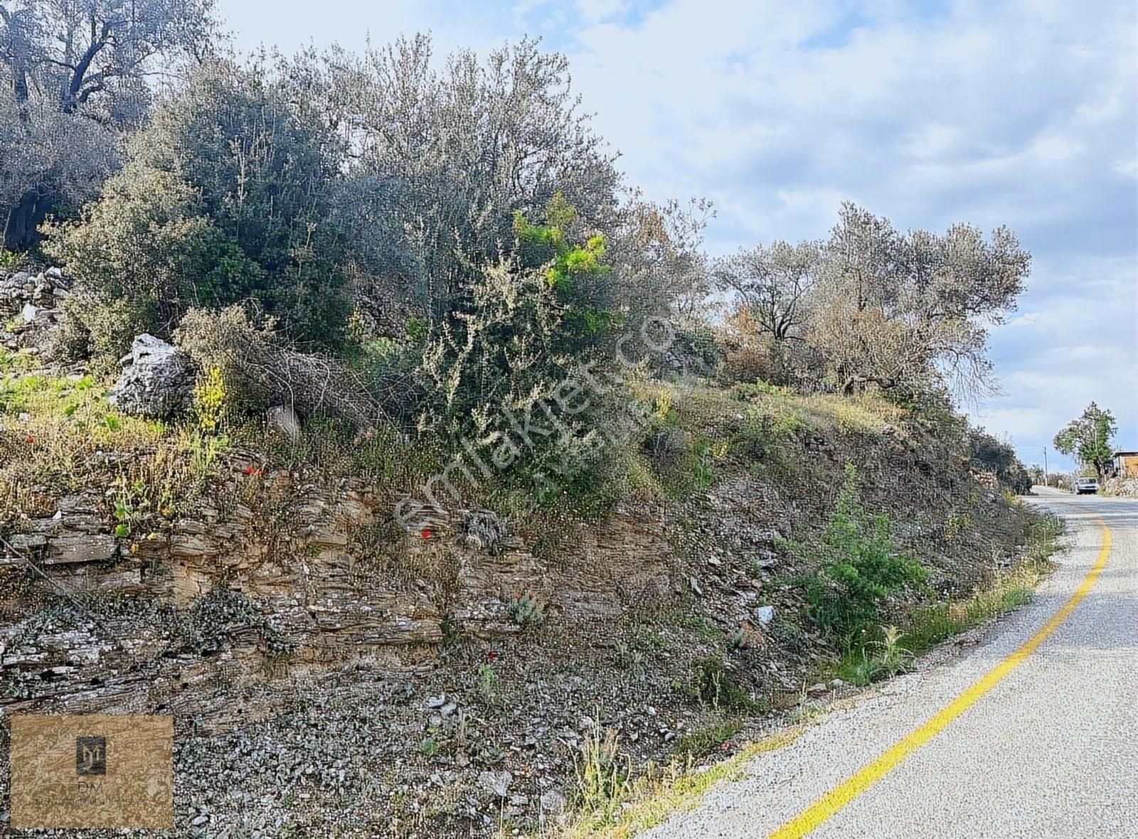 Takasa Açık !!! Asfalt Yol Kenarı, Köyiçi İmarlı Arsa Satılık - Görsel 4