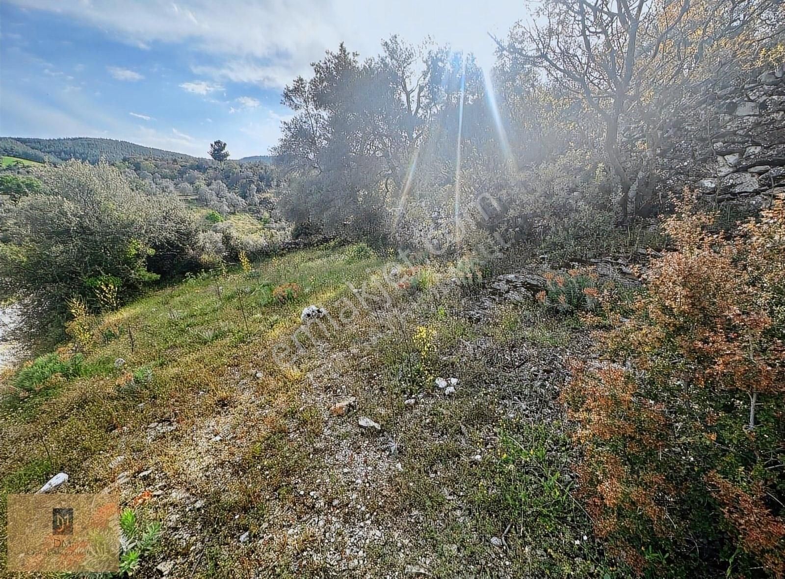 Takasa Açık !!! Asfalt Yol Kenarı, Köyiçi İmarlı Arsa Satılık - Görsel 8