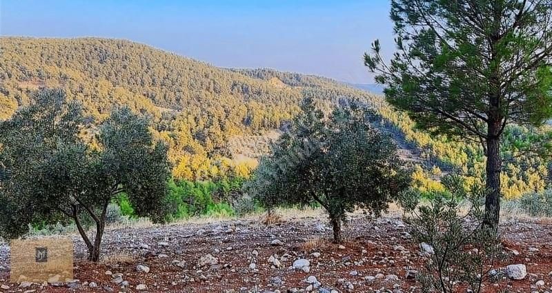Acil !!! Akçaovada 1.4 Dönüm Fırsat Fiyatlı Satılık Arazi - Görsel 4