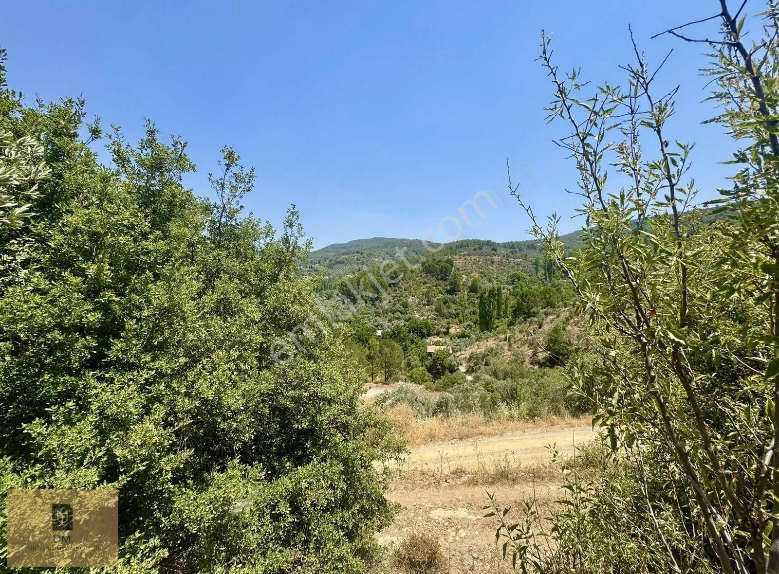 Yeşilyurt Piside İçerisinde Zeytin Ağaçları Bulunan Fırsat Tarla - Görsel 7