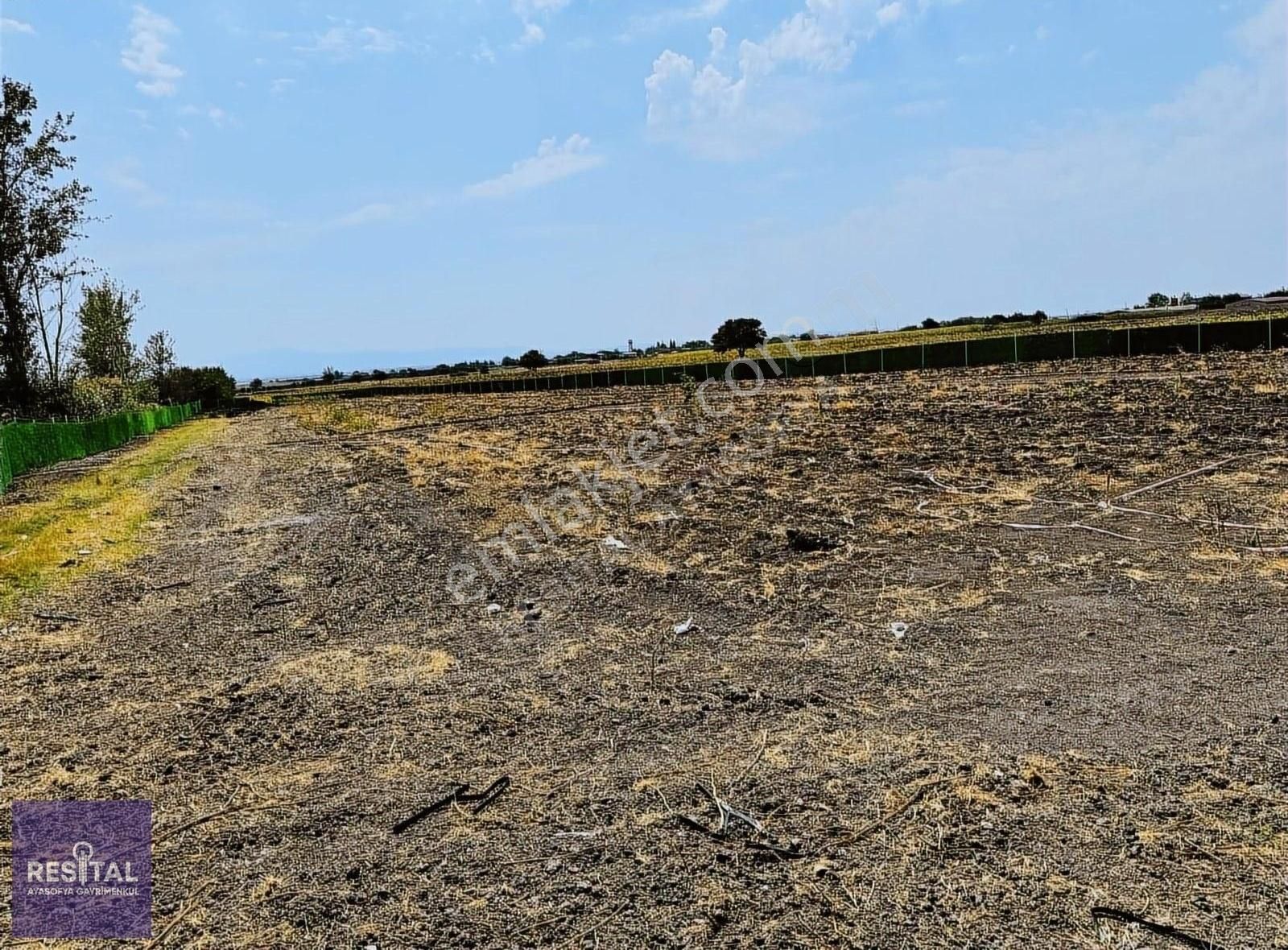 Karacabey İzmir Yolu Yakını Gölkıyı 7000m2 Etrafı Çevrili Bahçe - Görsel 9