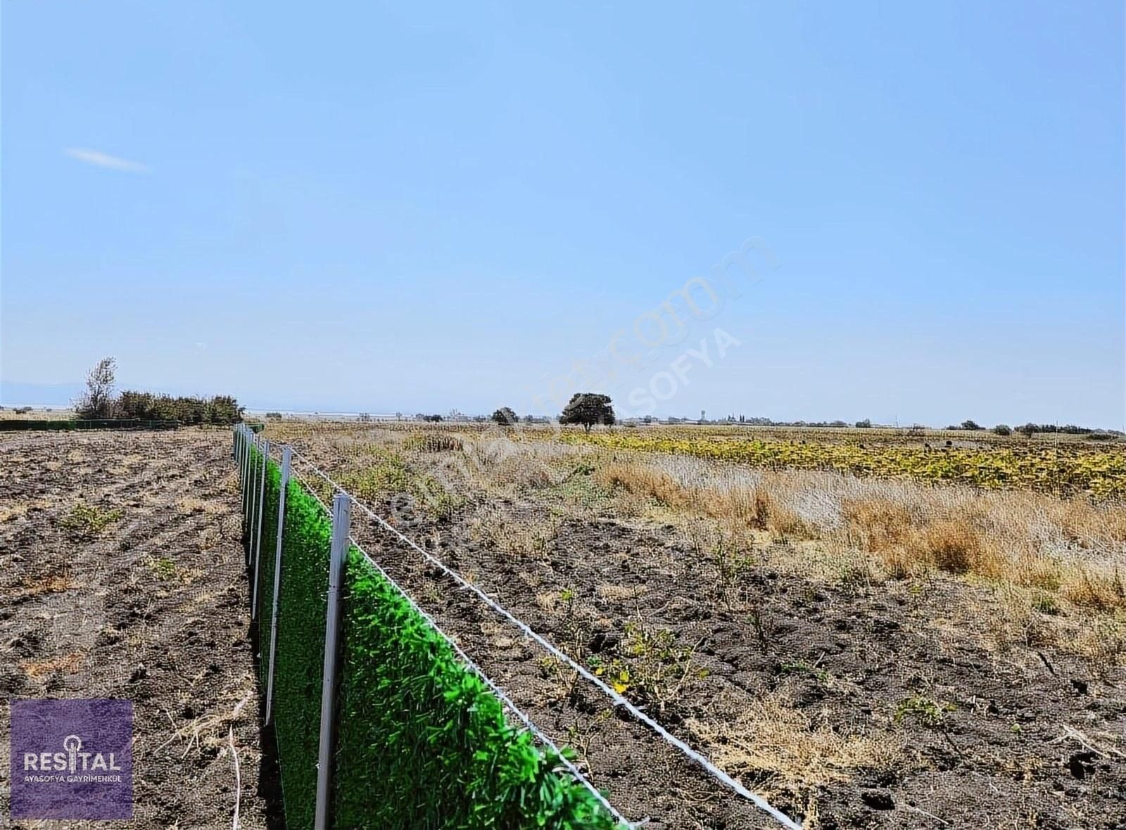 Karacabey İzmir Yolu Yakını Gölkıyı 7000m2 Etrafı Çevrili Bahçe - Görsel 6