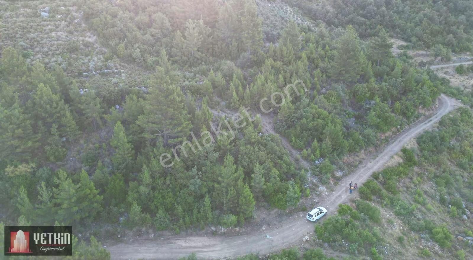 Gazipaşa Ilıca Köyü Satılık 3.300m2 Tarla - Görsel 14