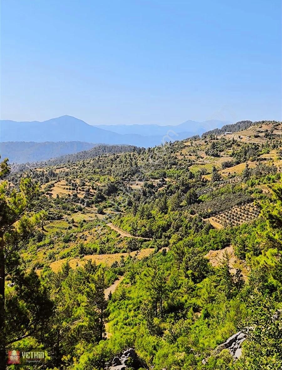 Gazipaşa Ilıca Köyü Satılık 3.300m2 Tarla - Görsel 11