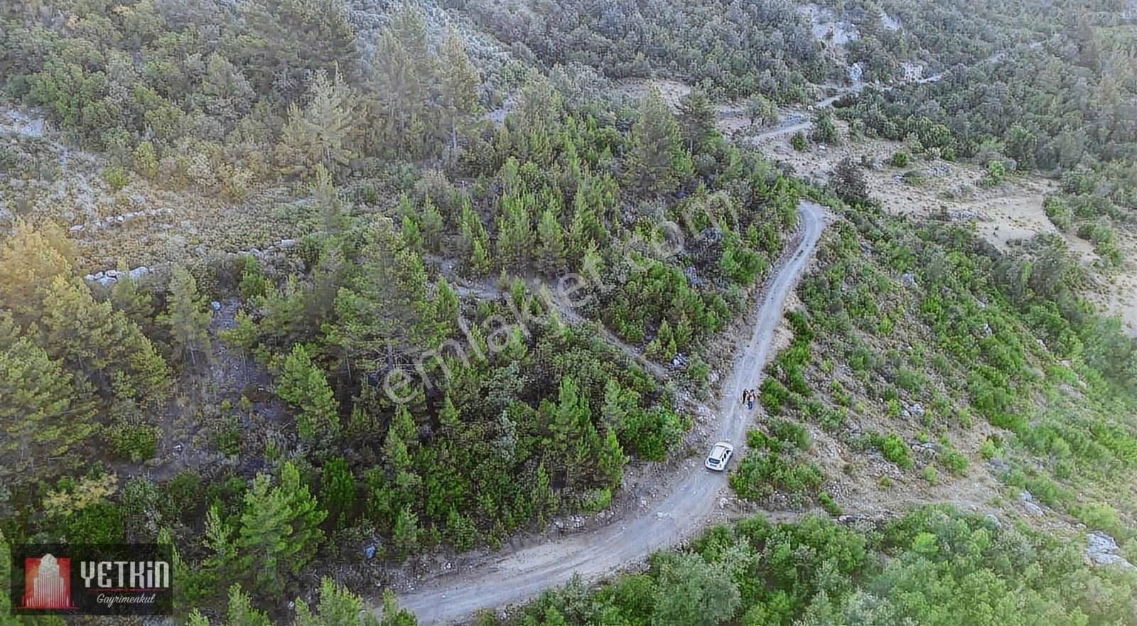 Gazipaşa Ilıca Köyü Satılık 3.300m2 Tarla - Görsel 13