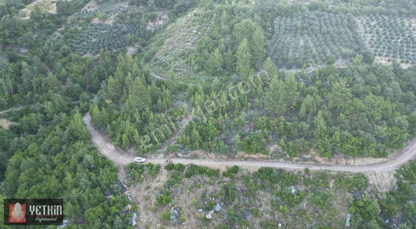 Gazipaşa Ilıca Köyü Satılık 3.300m2 Tarla - Görsel 9