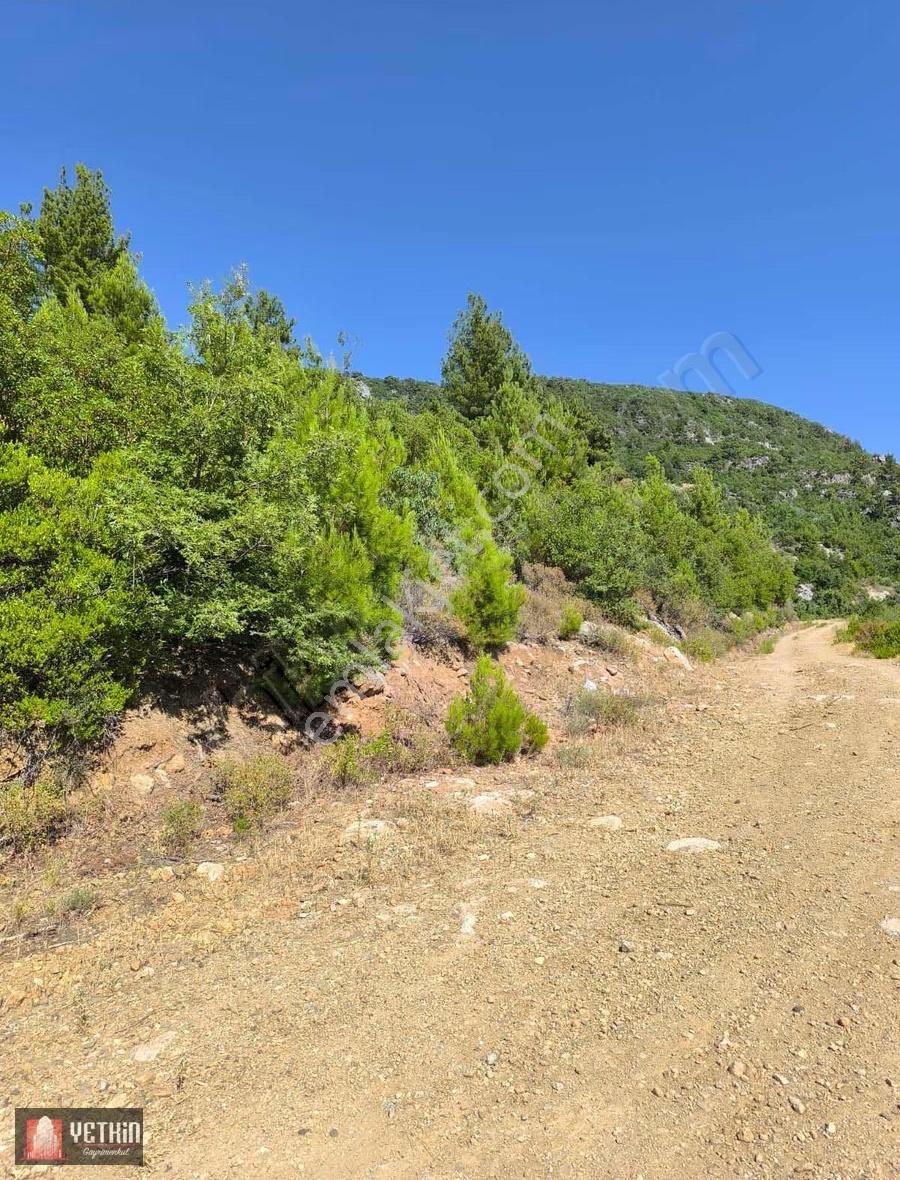 Gazipaşa Ilıca Köyü Satılık 3.300m2 Tarla - Görsel 10