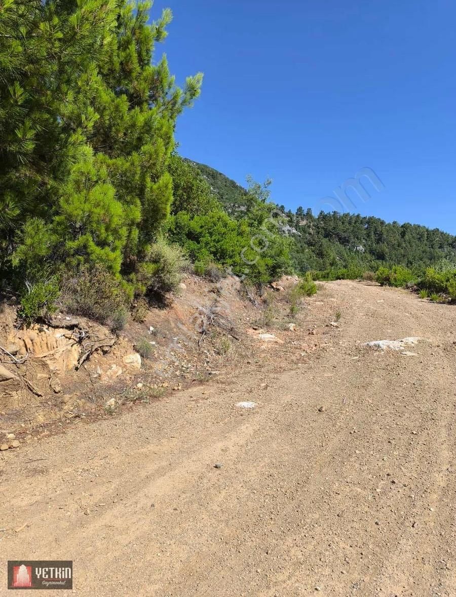 Gazipaşa Ilıca Köyü Satılık 3.300m2 Tarla - Görsel 4