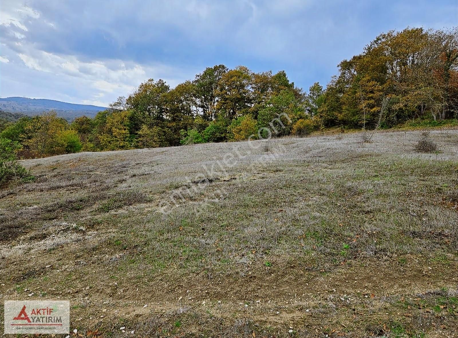 İzmit Nebihoca Mahallesinde Satılık 2.994 M² Müstakil Tarla - Görsel 21