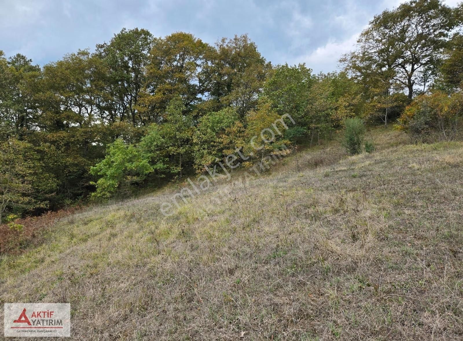 İzmit Nebihoca Mahallesinde Satılık 2.994 M² Müstakil Tarla - Görsel 6