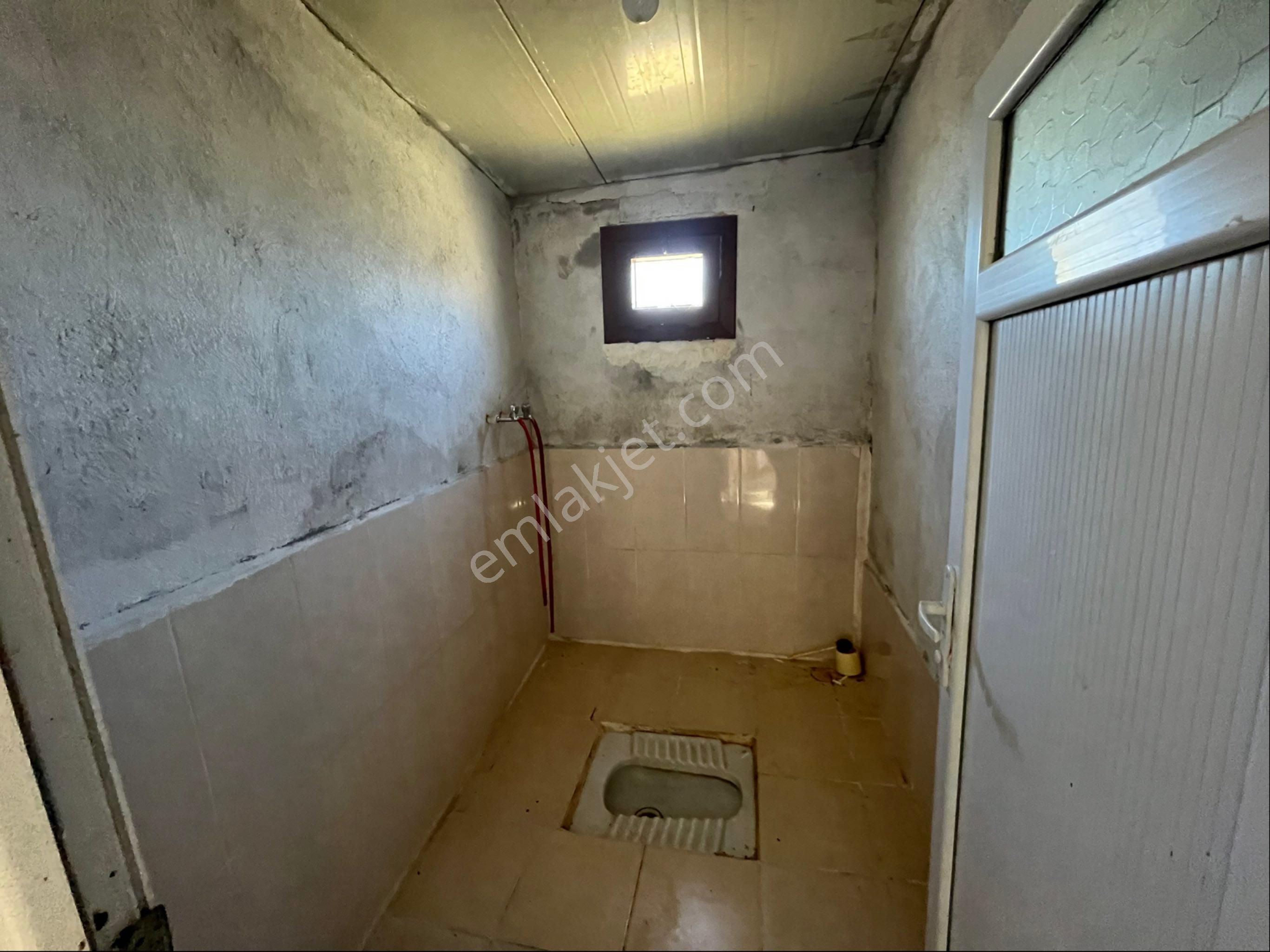 Verimli Zeytinlik Arazi – 253 Dönüm Söke / Kisir Köyü Helvacılar - Görsel 34
