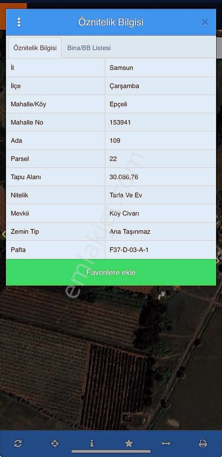 Epçeli Mahallesi Dikbıyık Çarşamba Fındıklık 6 Dönüm Tarla - Görsel 8