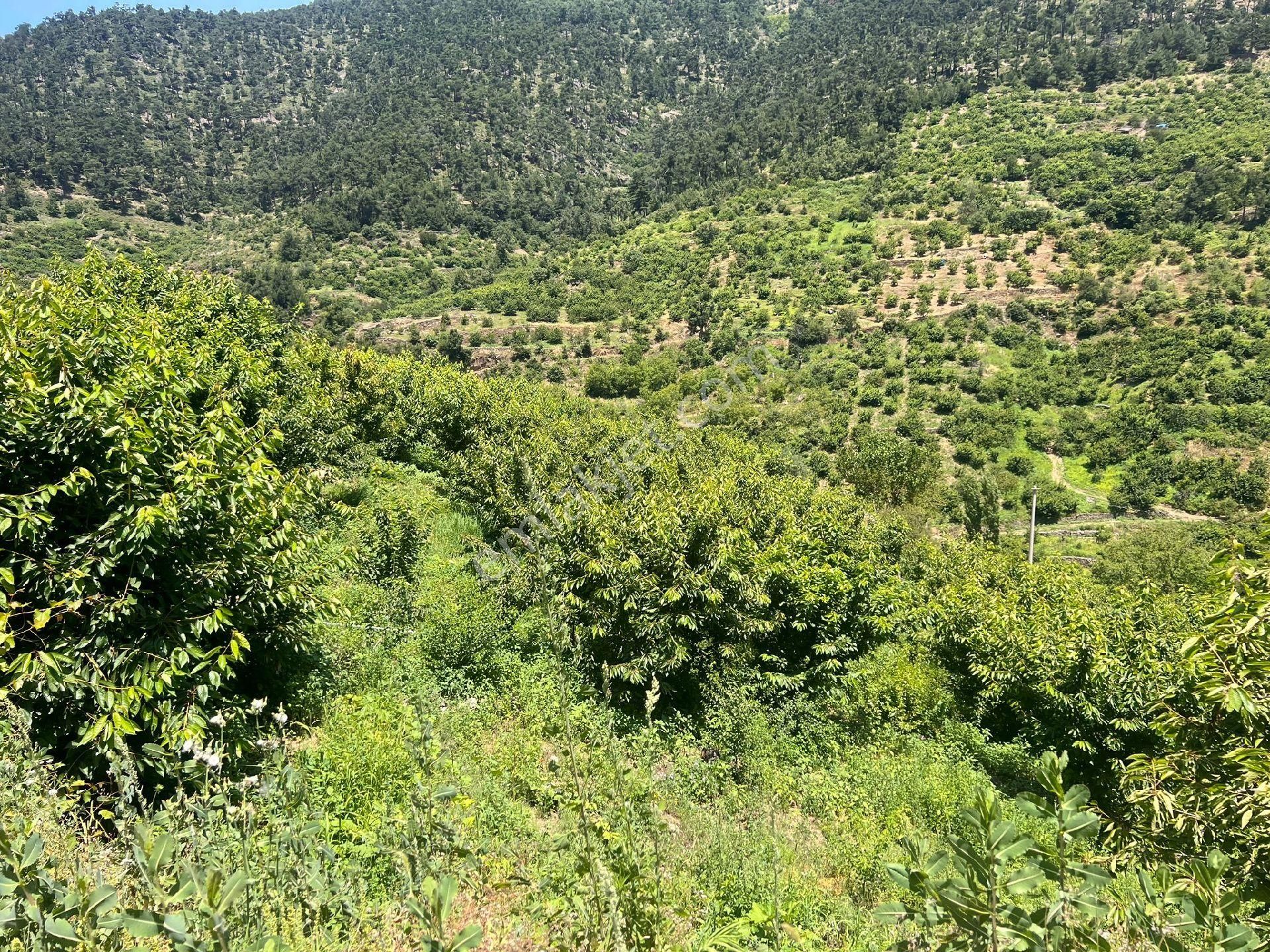 Brt Gayrimenkul'den Kemalpaşada Yatırım Değeri Yüksek Arsa - Görsel 4