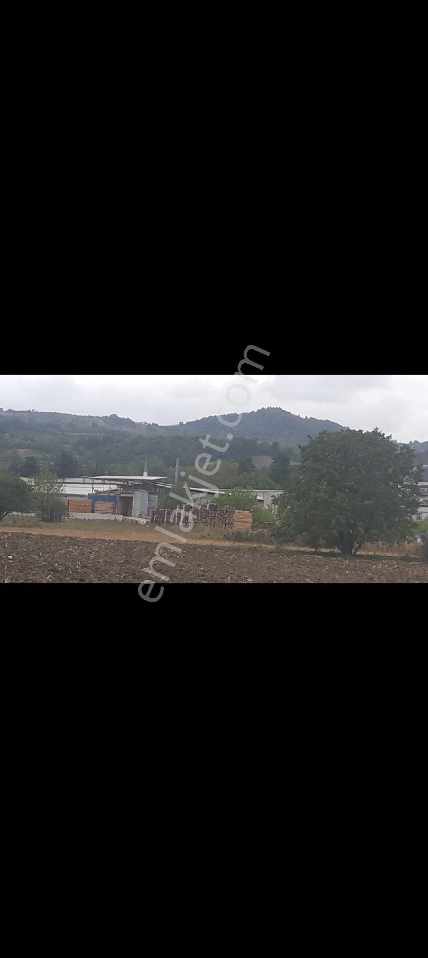 Deydinler Mahallesinde İmar Dibi Fırsat Tarlam - Görsel 3
