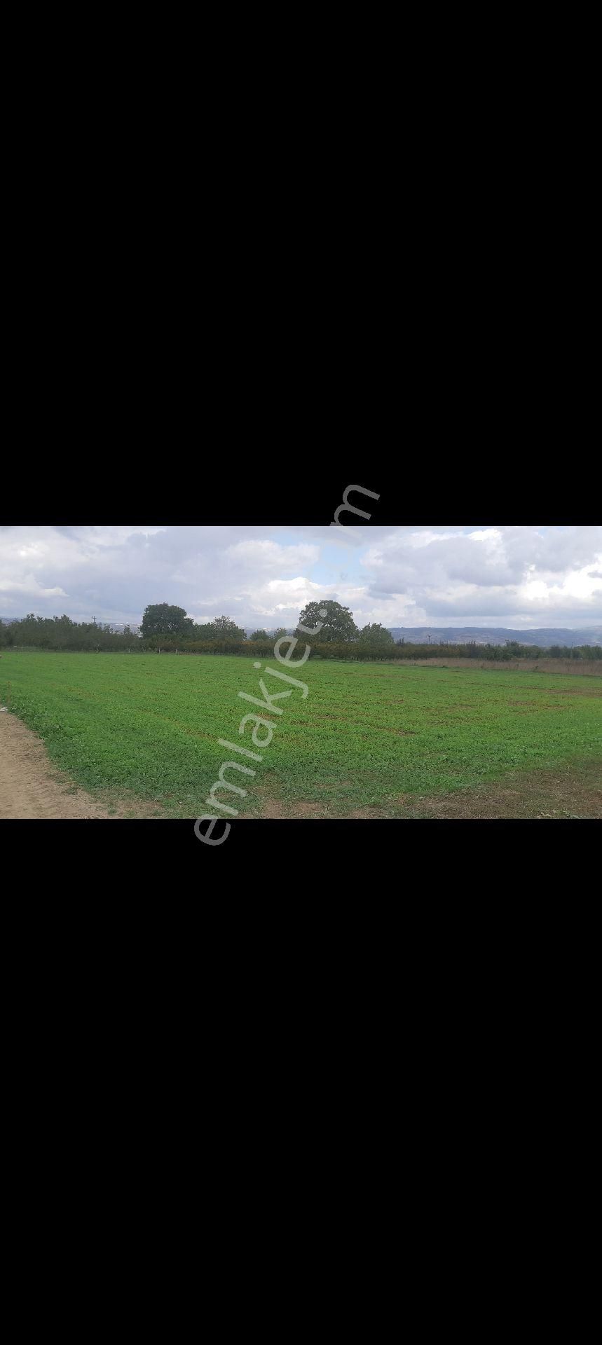 Deydinler Mahallesinde İmar Dibi Fırsat Tarlam