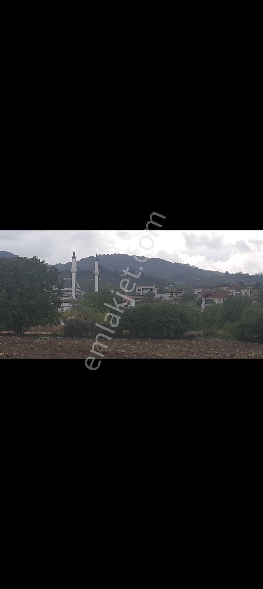 Deydinler Mahallesinde İmar Dibi Fırsat Tarlam - Görsel 4