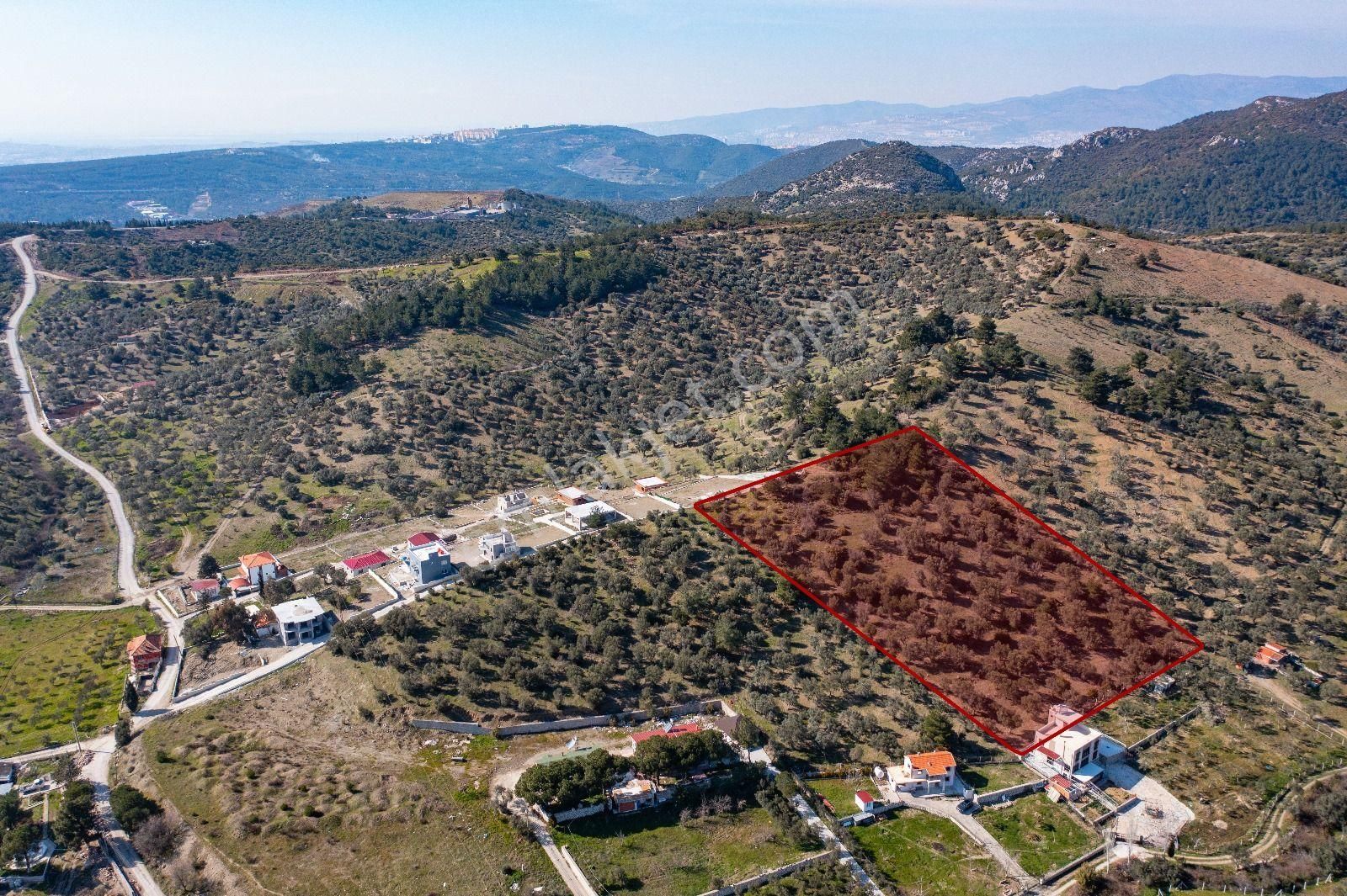 İzmir Buca 29 Ekim Mah. Kaynaklar Merkeze Yakın 9.073 M² Satılık Zeytinli Tarla - Görsel 20