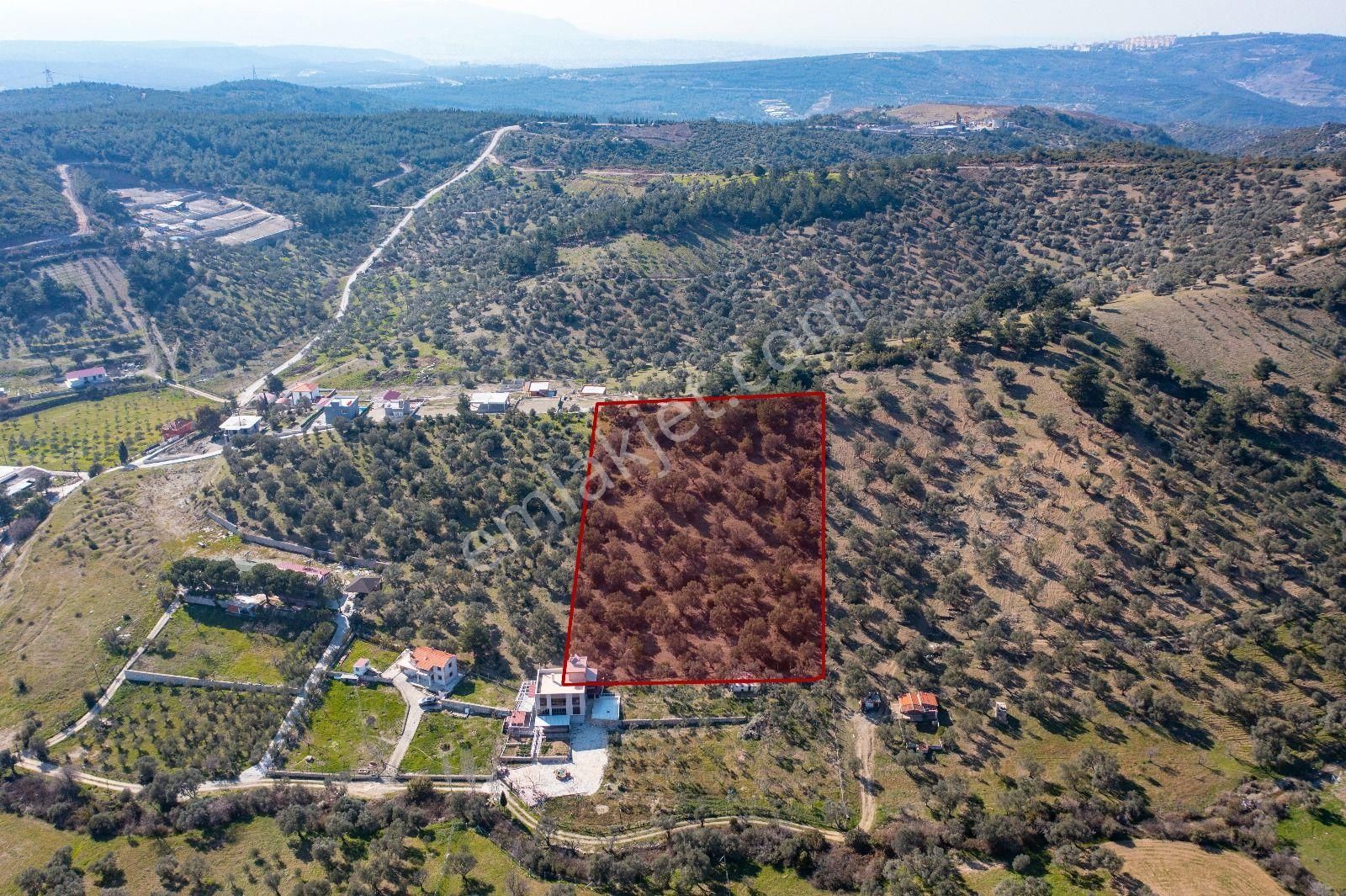 İzmir Buca 29 Ekim Mah. Kaynaklar Merkeze Yakın 9.073 M² Satılık Zeytinli Tarla - Görsel 24