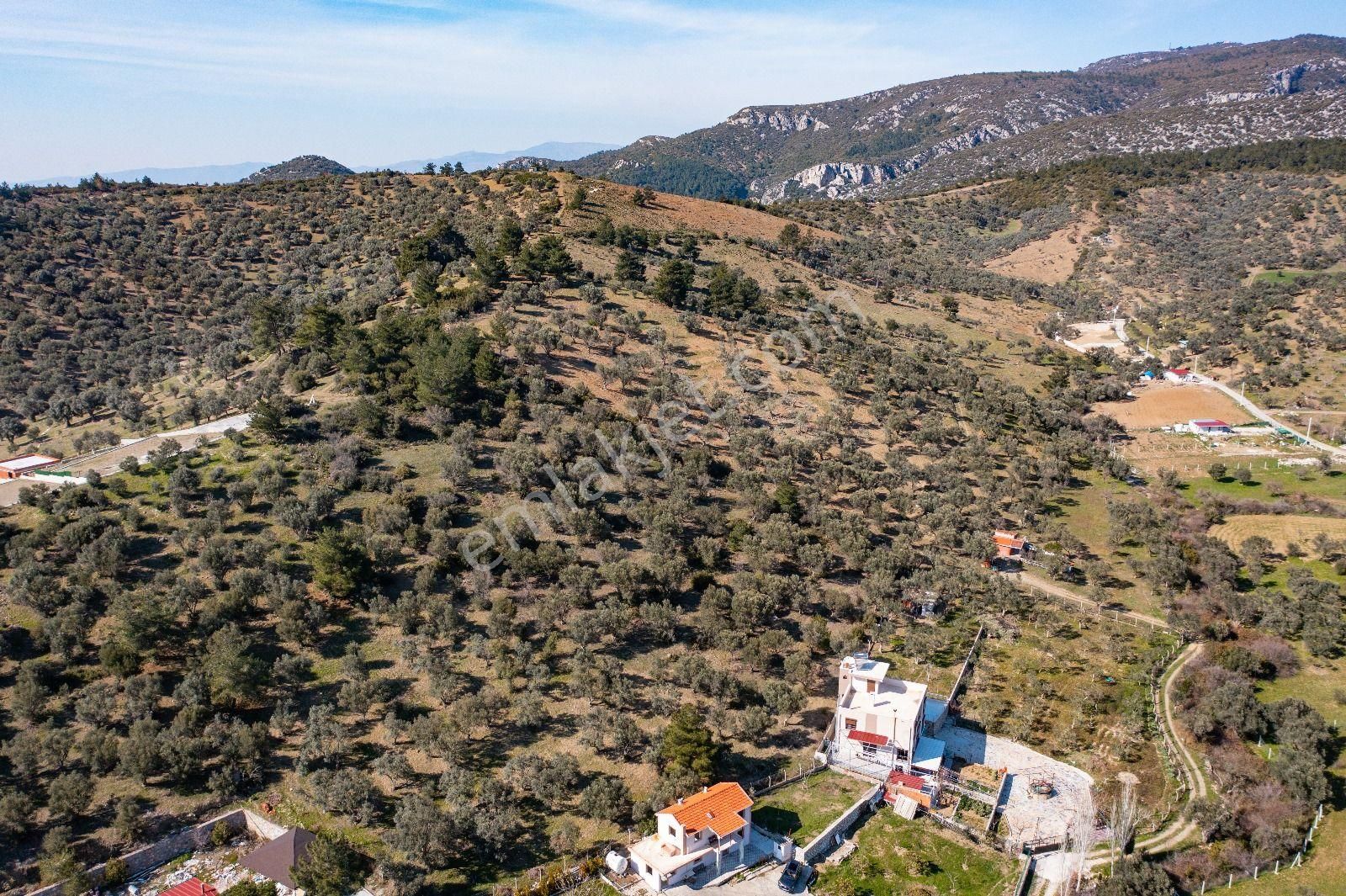 İzmir Buca 29 Ekim Mah. Kaynaklar Merkeze Yakın 9.073 M² Satılık Zeytinli Tarla - Görsel 10
