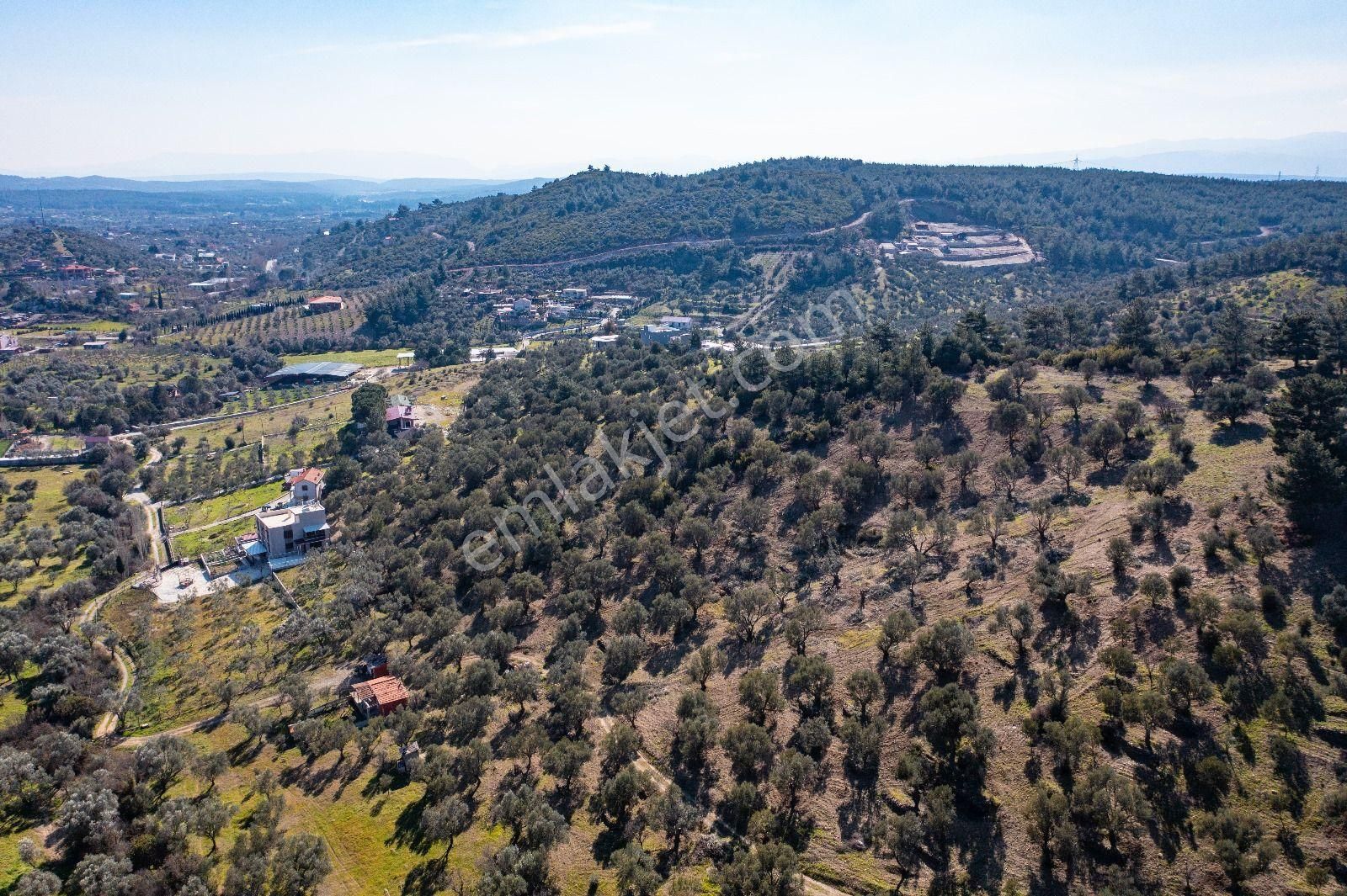 İzmir Buca 29 Ekim Mah. Kaynaklar Merkeze Yakın 9.073 M² Satılık Zeytinli Tarla - Görsel 13