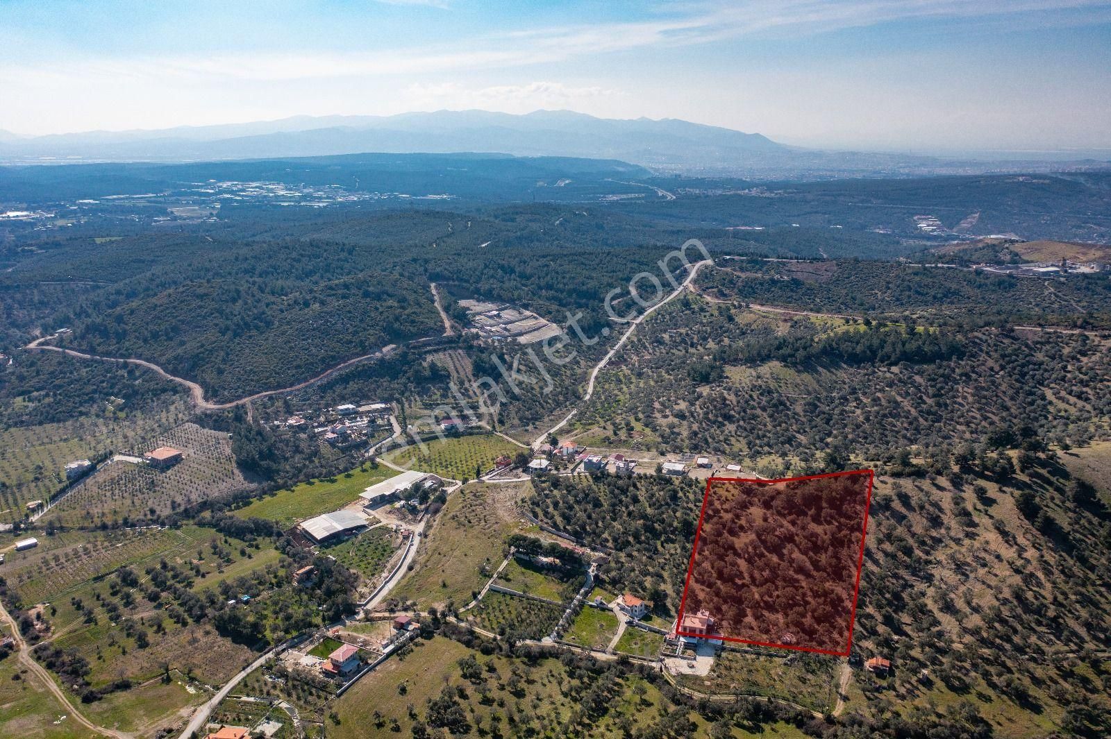İzmir Buca 29 Ekim Mah. Kaynaklar Merkeze Yakın 9.073 M² Satılık Zeytinli Tarla - Görsel 21