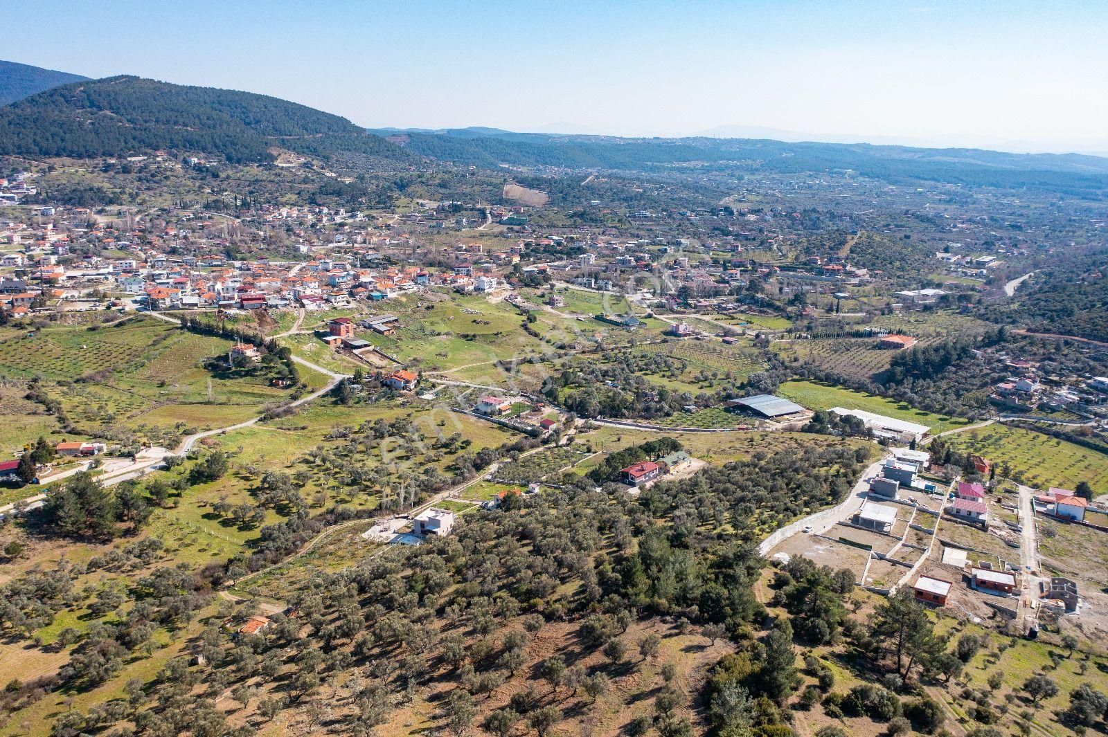 İzmir Buca 29 Ekim Mah. Kaynaklar Merkeze Yakın 9.073 M² Satılık Zeytinli Tarla - Görsel 14