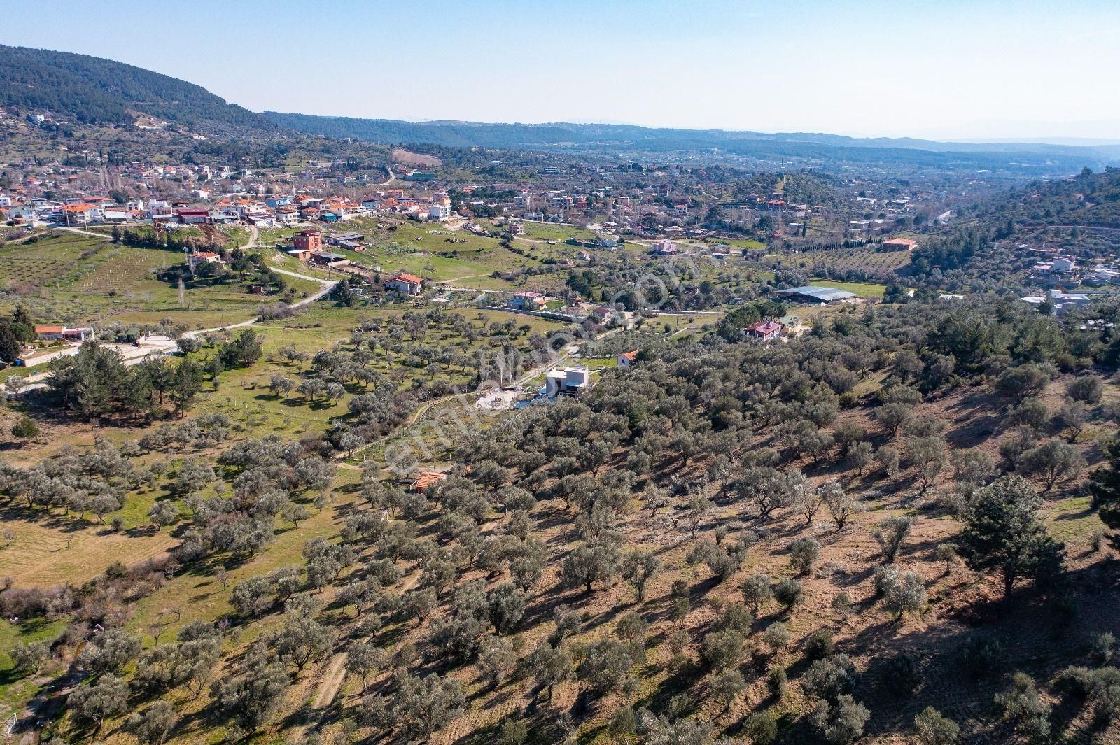 İzmir Buca 29 Ekim Mah. Kaynaklar Merkeze Yakın 9.073 M² Satılık Zeytinli Tarla - Görsel 17